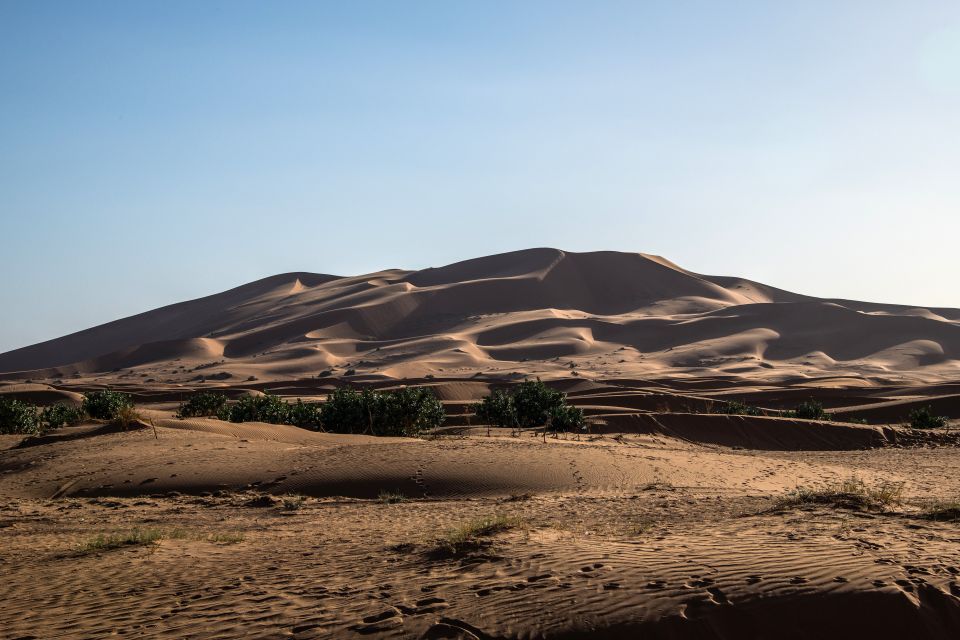 Merzouga Sightseeing Tour That Shouldn't Be Missed - Tour Experience