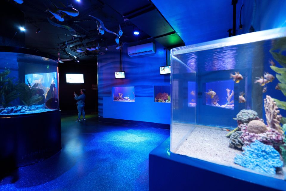 Mexico City: Inbursa Aquarium Ticket With VR Option - Visit Details