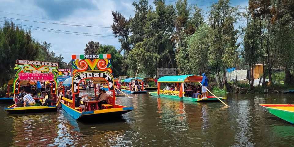 Mexico City: Xochimilco, Coyoacán and University City Tour - Highlights