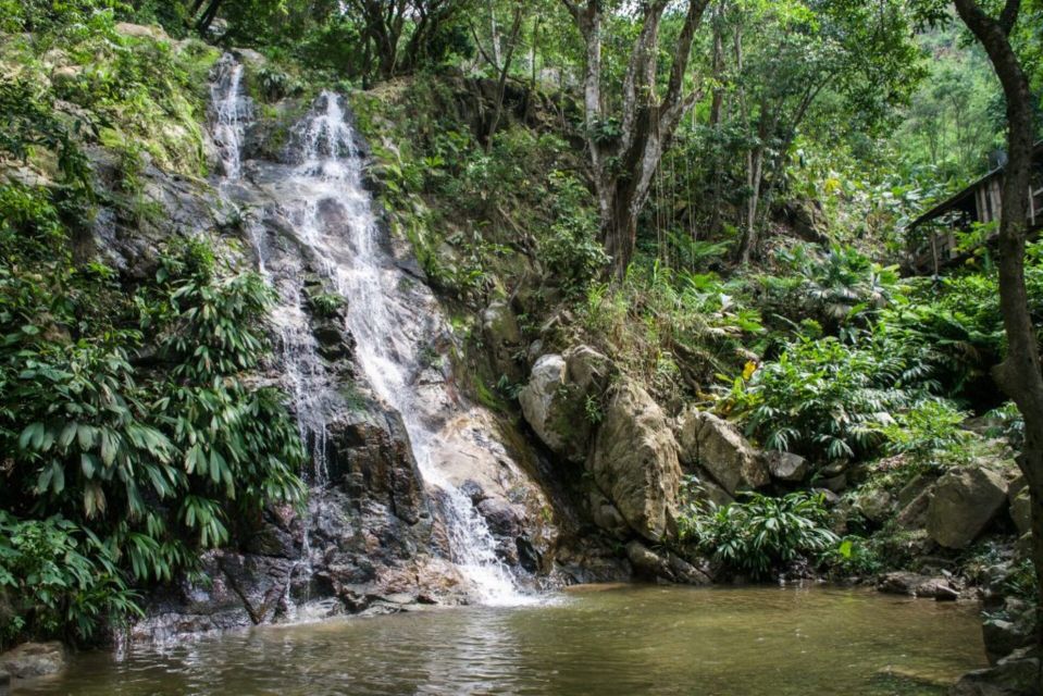 Minca, Waterfalls & Coffee Farm Tour - Coffee Farm Experience