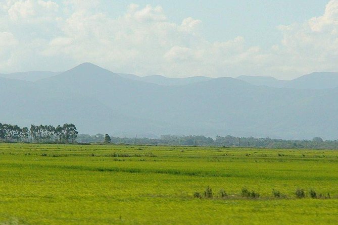 Minneriya National Park Private Safari - Meeting and End Points Information