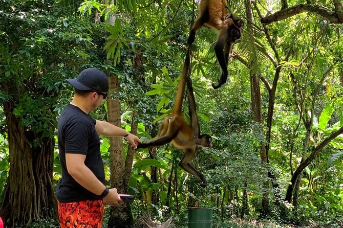 Monkey Sanctuary Reserve Kayaking at Bahía De Jiquilisco Lunch Included - Tour Logistics