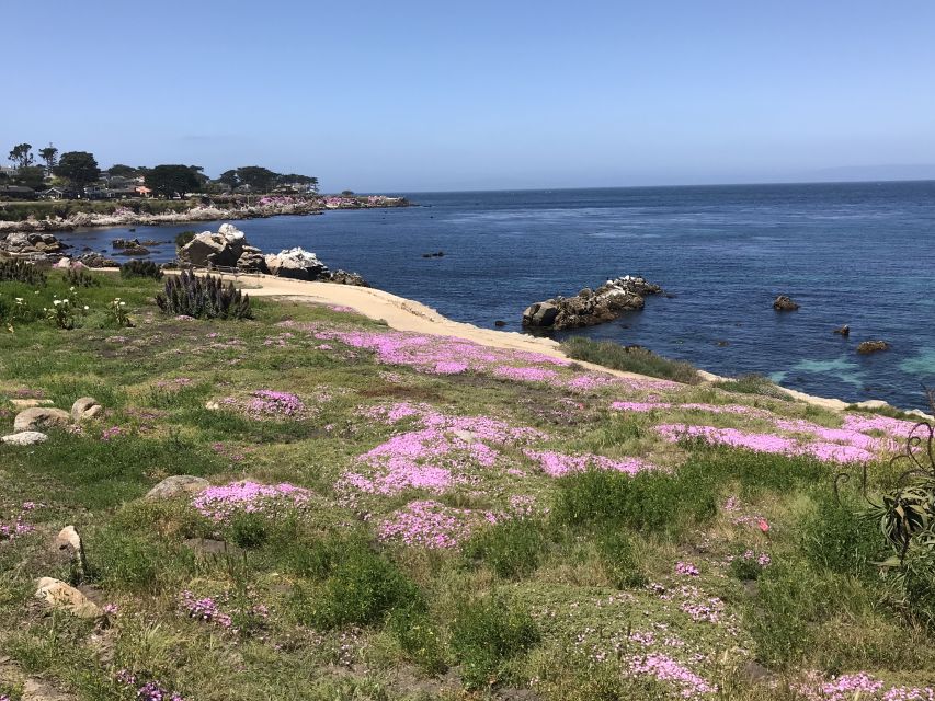Monterey Peninsula Sightseeing Tour Along the 17 Mile Drive - Tour Itinerary