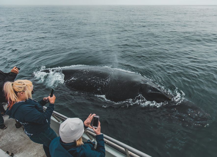 Monterey: Sunset Whale Watching Cruise With a Guide - Inclusions