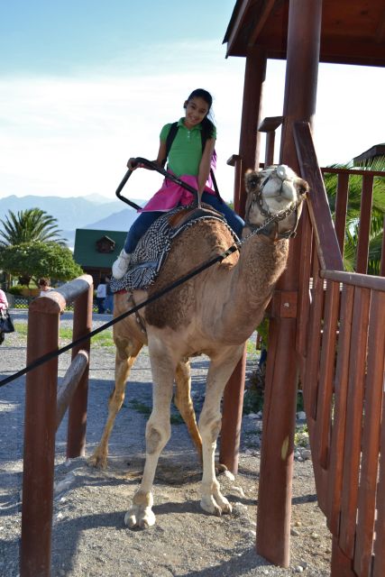 Monterrey: Zoological Adventure at Xenpal - Animal Interaction