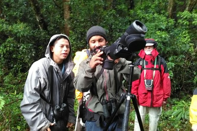 Monteverde Birdwatching Experience - Directions and Helpful Tips