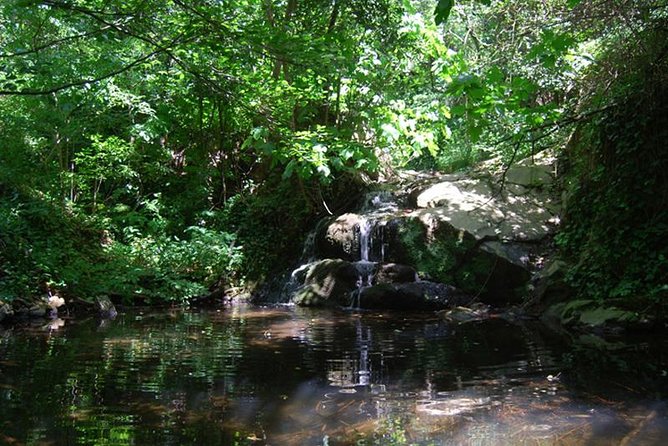 Montseny Guided Hiking Tour From Barcelona With Organic-Friendly Lunch - Inclusions and Logistics