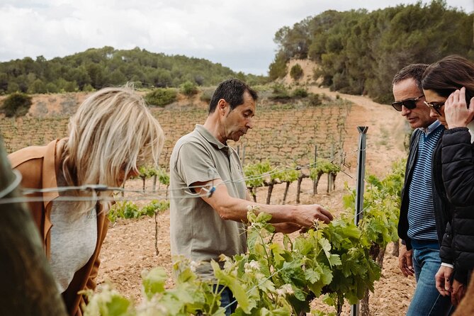 Montserrat and Cava Winery Full-Day Trip From Barcelona - Important Information and Recommendations