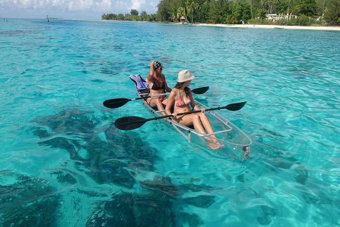 Moorea Lagoon Tour by Transparent Kayak - Memorable Experiences and Moments