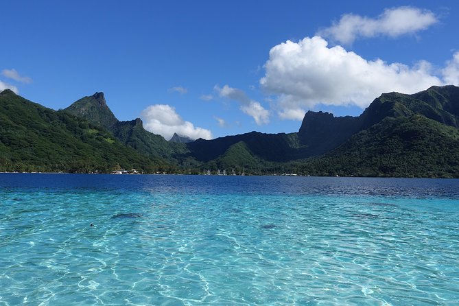 Moorea Private Boat Tour / Sea Scooter Snorkeling Tour - Important Guidelines