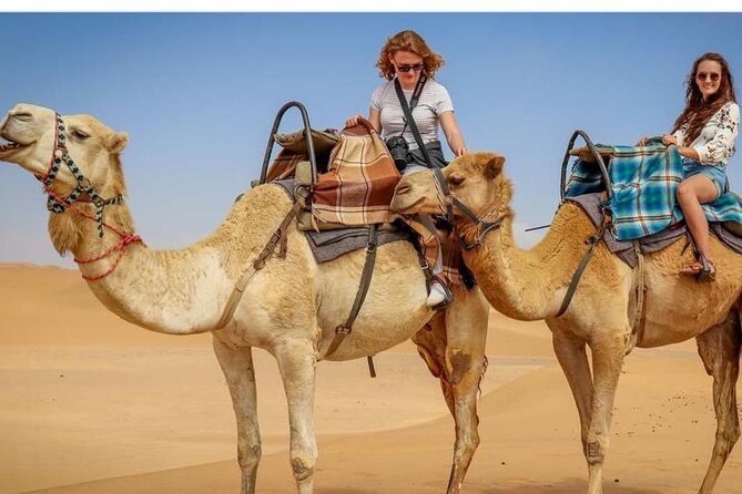 Morning Desert Safari, 25 Minutes ATV With 20 Minutes Camel Ride - Activity Highlights