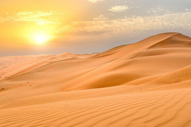 Morning Desert Safari Tour With Dune Bashing, Sand Boarding, Camel Ride - Customer Feedback and Ratings