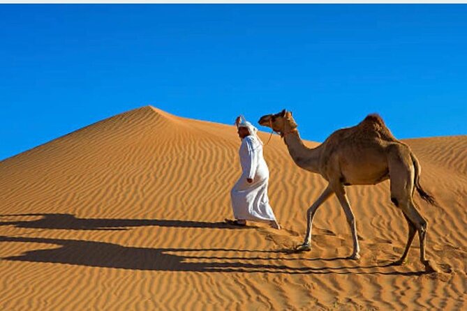 Morning Desert Safari With Camel Ride and Quad Bike - Group Size and Private Options