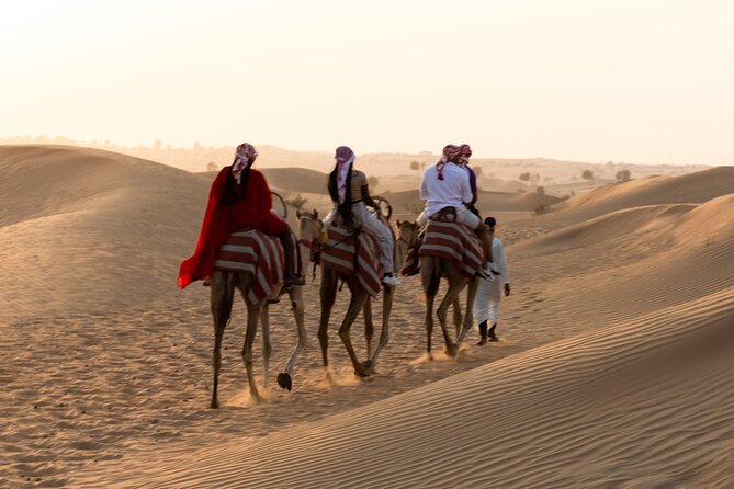 Morning Desert Safari With Dune Bashing, Camel Ride, Sand Boarding - Participant Requirements