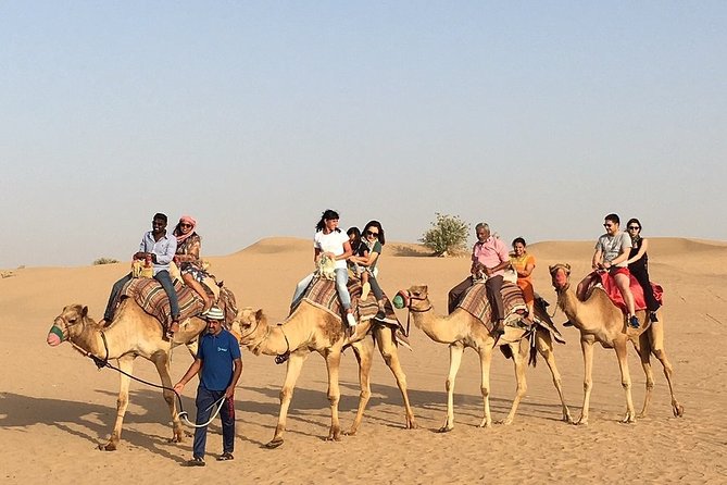 Morning Dune Bashing, Including Camel Riding and Sand Boarding From Dubai - Customer Reviews