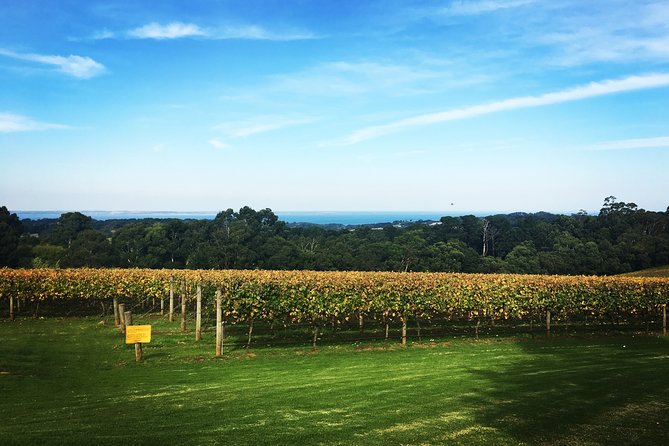 Mornington Peninsula Private Car Winery Tour.1-7 People One Car Price. - Booking Information