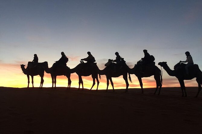 Morocco Camel Treks Experiences 2 Nghits in Erg Chabbi Desert - Common questions
