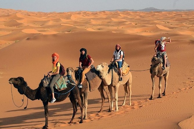 Morocco Desert Tour 4 Days From Marrakech - Additional Support and Information