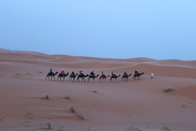 Morocco Tours 10 Days From Casablanca : Imperial Cities & Sahara Desert - Inclusions and Exclusions