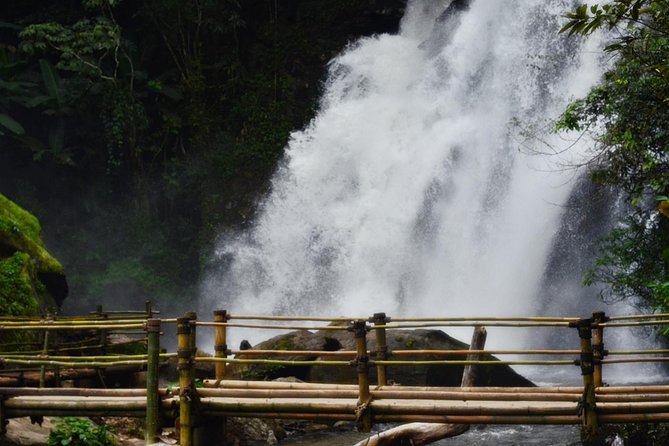 Mount Doi Inthanon Hiking & Bird Watching - Guided Forest Walk and Local Coffee Tasting