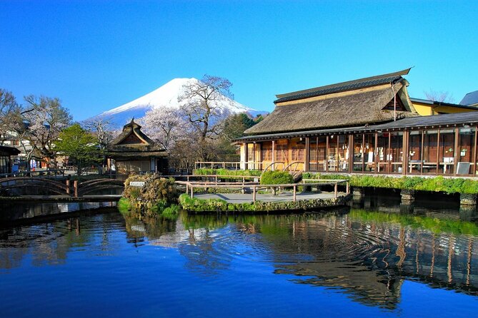 Mount Fuji Private Custom Tour From Tokyo - Itinerary Details