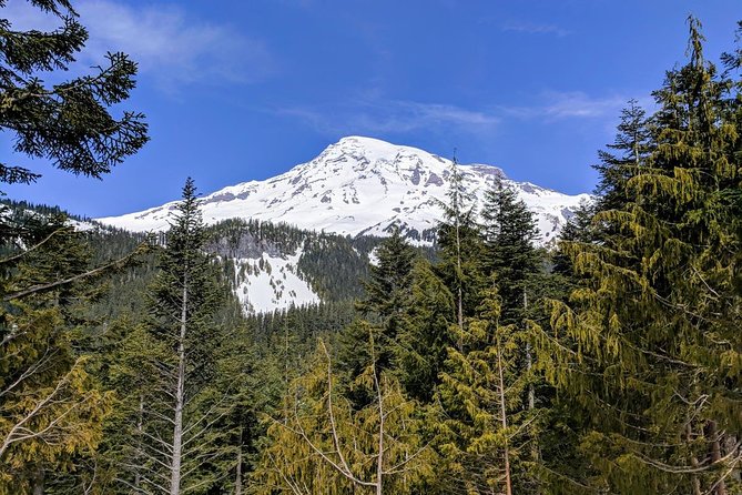 Mount Rainier National Park Luxury Small-Group Day Tour With Lunch - Tour Highlights