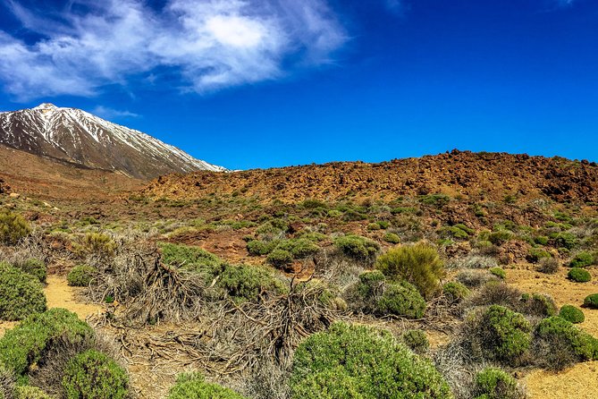 Mount Teide and Tenerife North With 5 Course Tasting Menu Private Tour - Customer Reviews and Ratings