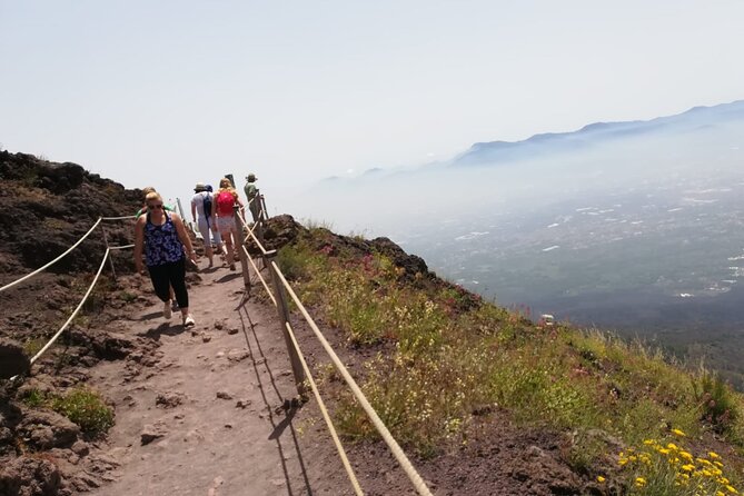 Mount Vesuvius Tour by Bus and Ticket Included From Ercolano - Customer Reviews