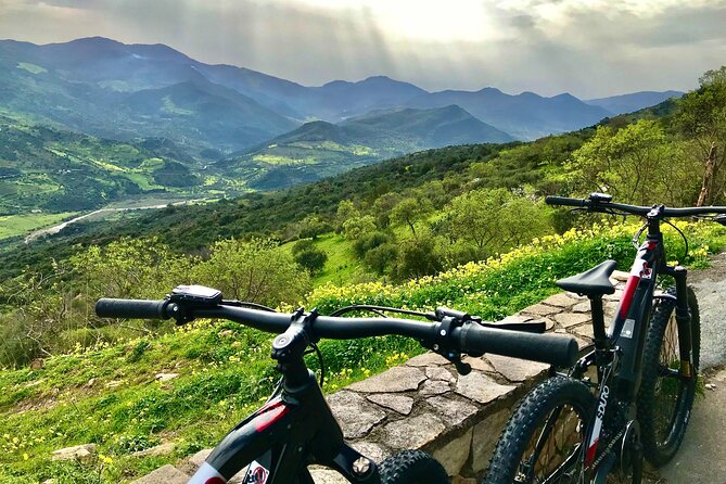 Mountain Bike Tour of the Madonie From Cefalù - Expert Local Guides