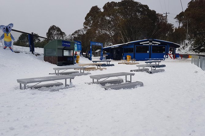 Mt Buller Day Trip From Melbourne - Reviews