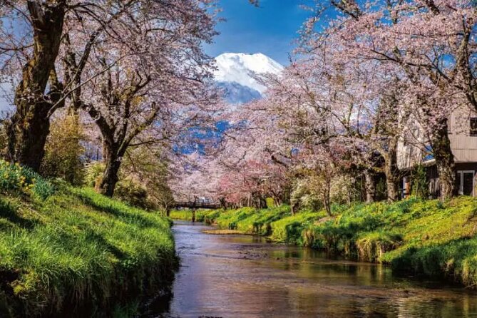Mt. Fuji Majestic Tours : Shinjuku to Arakurayama and Beyond - Scenic Stops