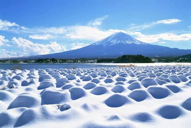 Mt.Fuji Tour: 3-Parks & The Healing Village in Fujiyoshida, Japan - Local Cuisine and Souvenirs