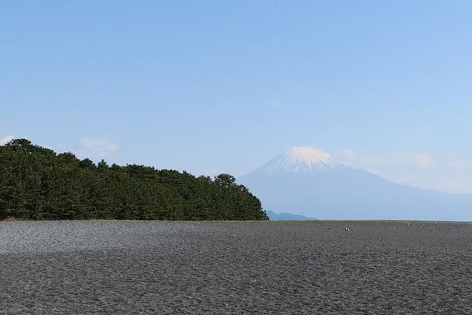 Mt. Fuji, Visit Where All the Japanese People Belong (Chartered Taxi Tour) - Tour Inclusions