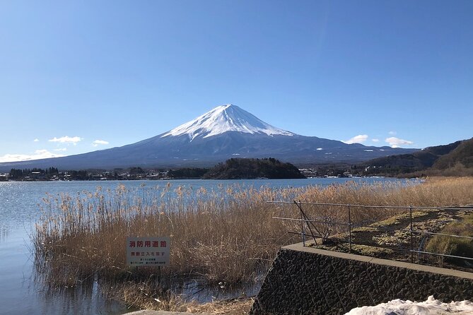 Mt Fuji With Kawaguchiko Lake Day Tour - Cancellation Policy