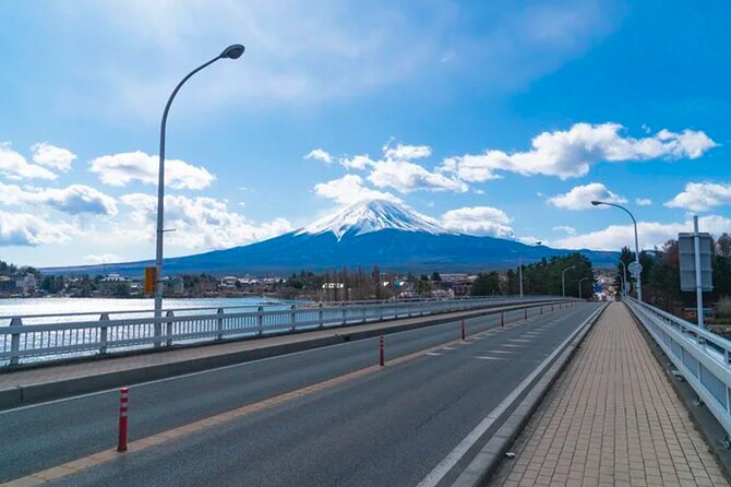 Mt. Fuji's Fifth Station & Lake Kawaguchiko Cycling Tour - Health and Accessibility Notes