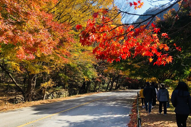 Mt. Naejang Autumn Foliage and Jeonju Hanok Village 1 Day Tour - Cancellation Policy