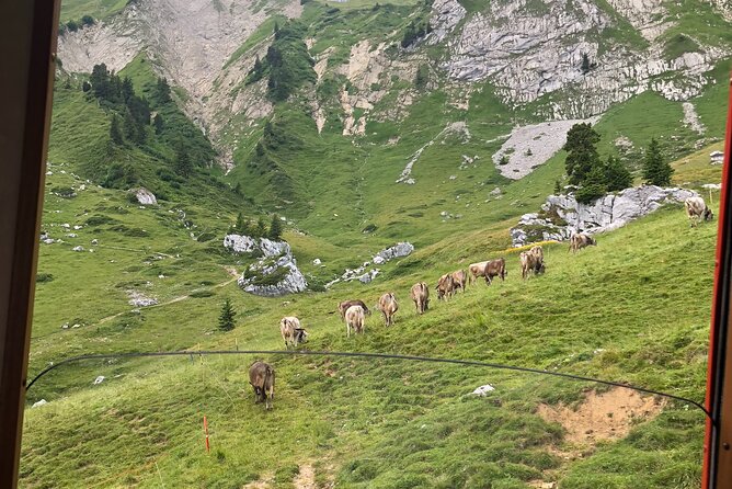 Mt. Pilatus With Lake of Lucerne Cruise Private Tour From Lucerne - Travel Tips