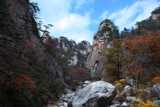 Mt. Seorak & The Tallest Ginko Tree at Yongmunsa - Viator Information for Travellers