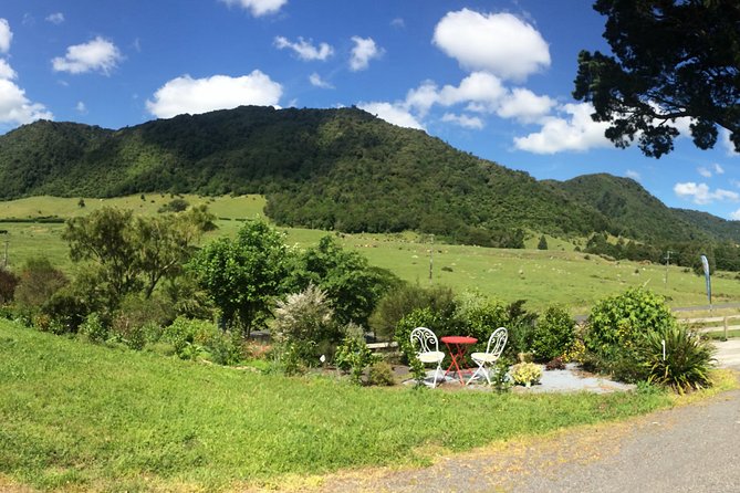 Mt. Te Aroha Bike Hire & Tours - Cancellation Policy