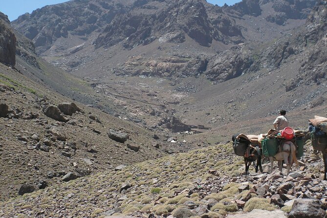 Mt Toubkal Ascent Express Trek 2 Days 1 Night - Meals and Inclusions
