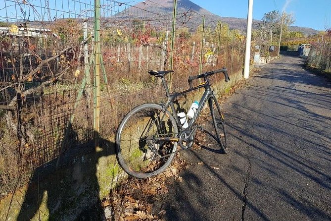 Mt Vesuvius E-Bike Tour - Tour Inclusions