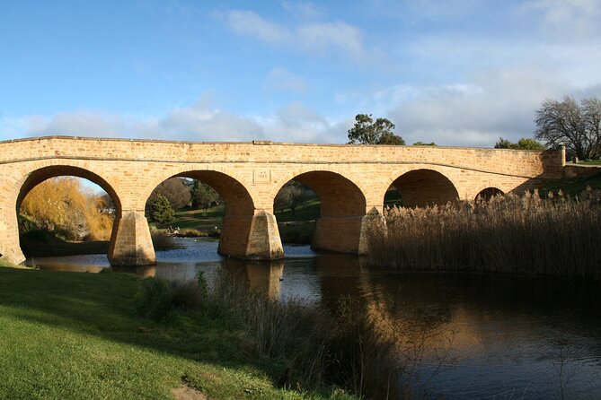 Mt. Wellington, Bonorong and Richmond Day Tour From Hobart - Inclusions and Exclusions