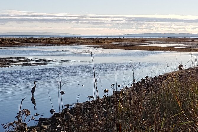 Mud Bay Park Bicycle Rental - Participant Requirements