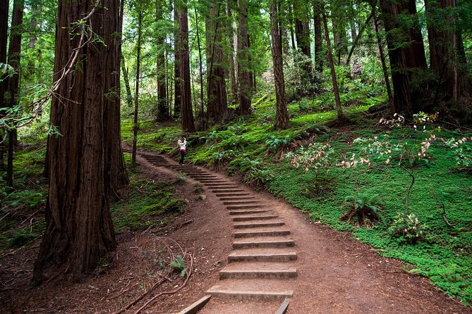 Muir Woods Expedition Tour of Coastal Redwoods - Customer Reviews and Feedback