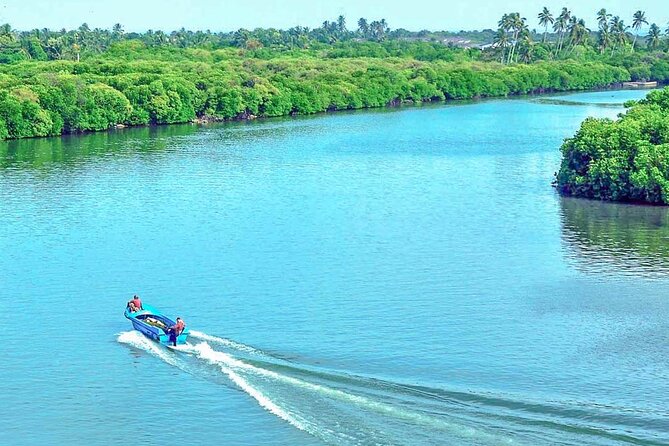 Muthurajawela Bird Watching Tour From Negombo / Colombo - Meeting and Pickup Information