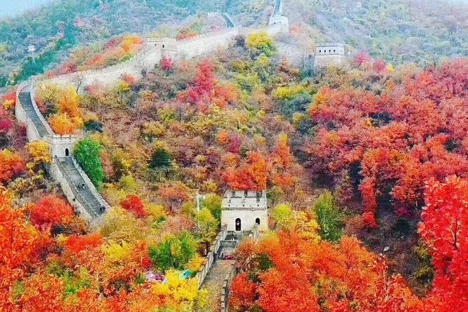 Mutianyu Great Wall Day Trip With Private English Speaking Driver Service - Reviews and Ratings Analysis