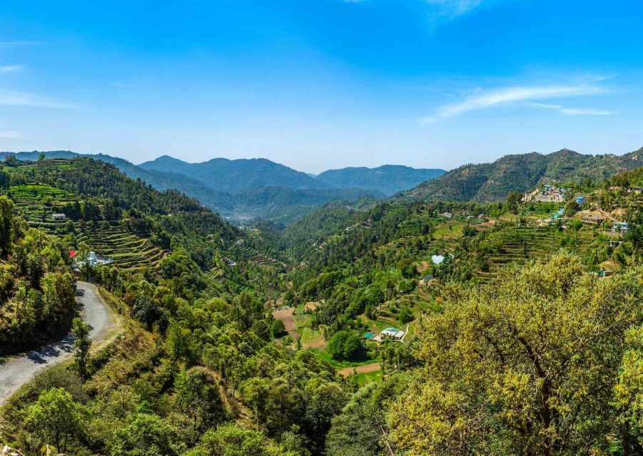 Nainital Nature Trekking Experience (4 Hours Experience) - Highlights