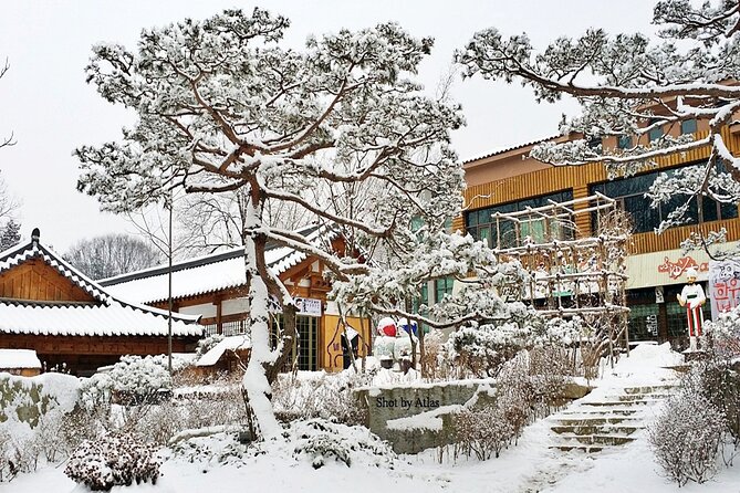 Nami Island and Ski Tour (Elysian Ski Resort) From Seoul - No Shopping - Inclusions and Exclusions