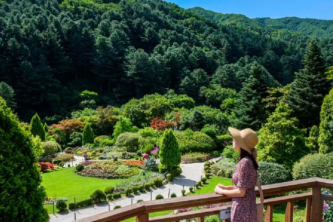 Nami Island Petit France Bus Tour - Start Time and End Point