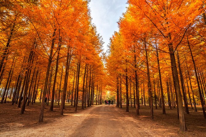 Nami Island, Petite France, Rail Bike Tour From Seoul (Mar ) - Booking Information